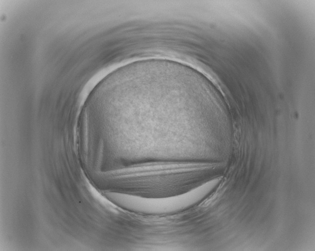 X0000070371535200607072116