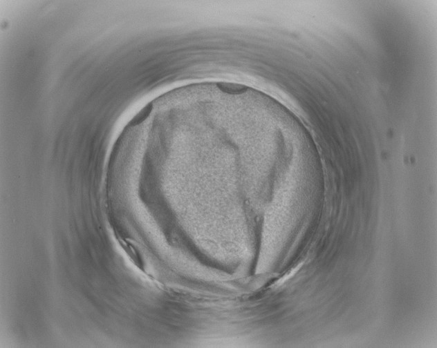 X0000070371536200607072116