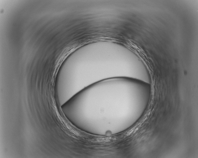 X0000070380049200606090910