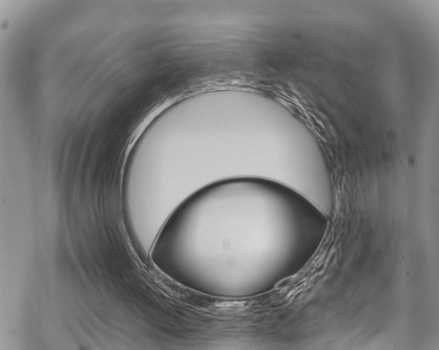 X0000070380052200606090910