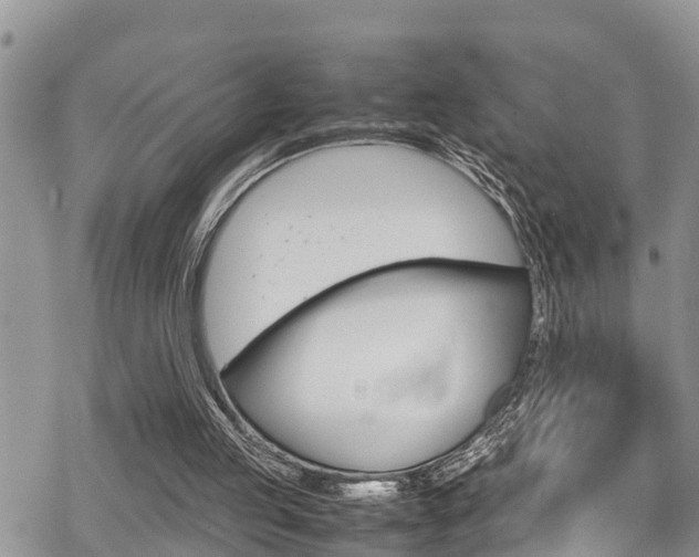 X0000070380053200606090910