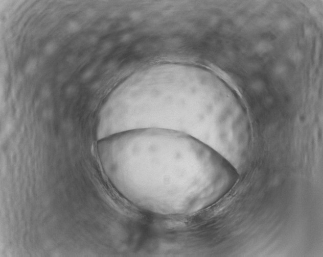 X0000070380061200606090910