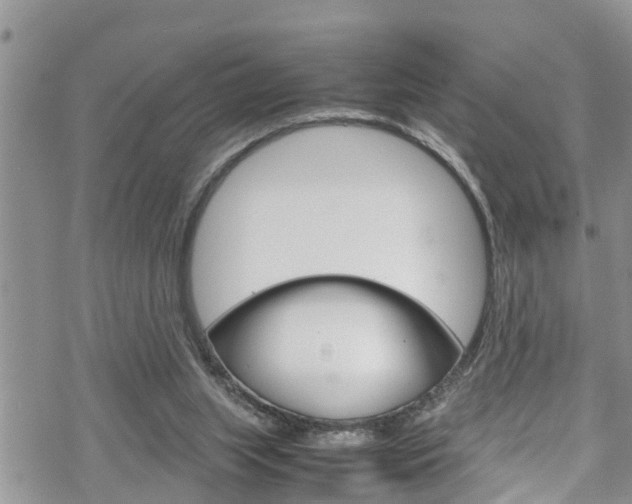 X0000070380063200606090910