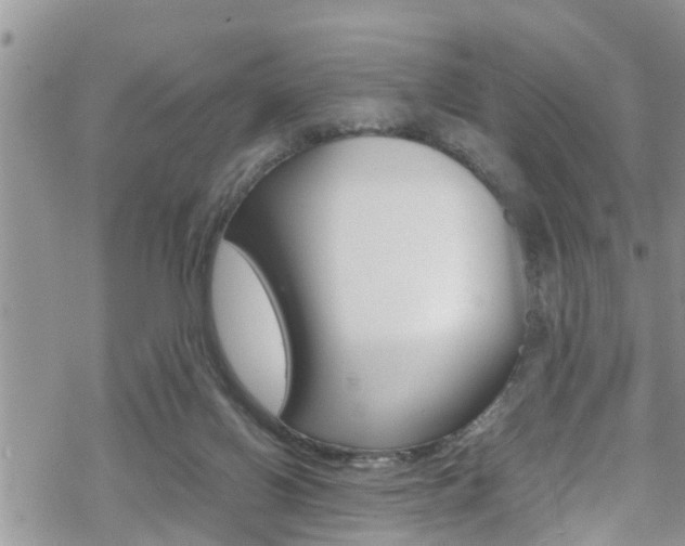 X0000070380070200606090910