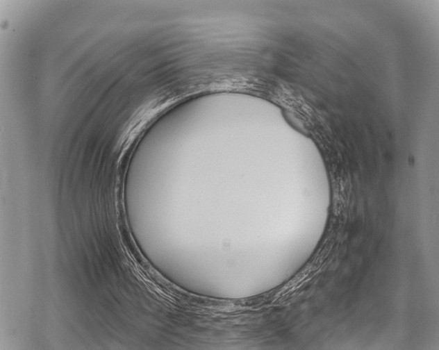 X0000070380098200606090910