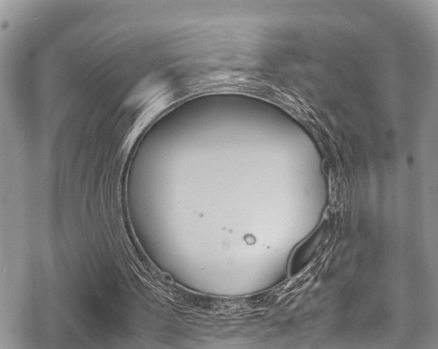 X0000070380099200606090910