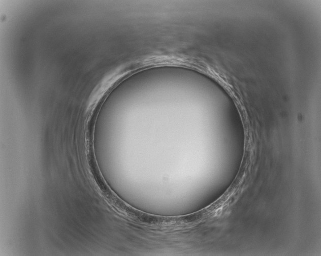 X0000070380103200606090910