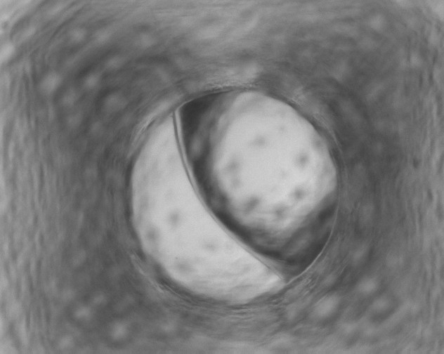 X0000070380107200606090910