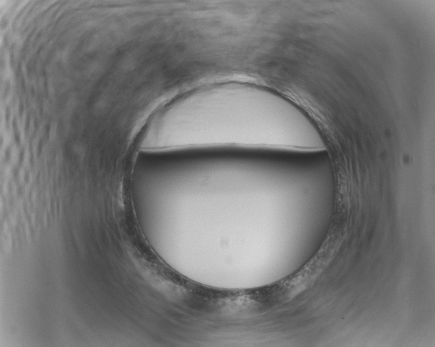 X0000070380112200606090910