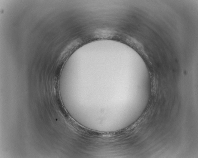 X0000070380114200606090910