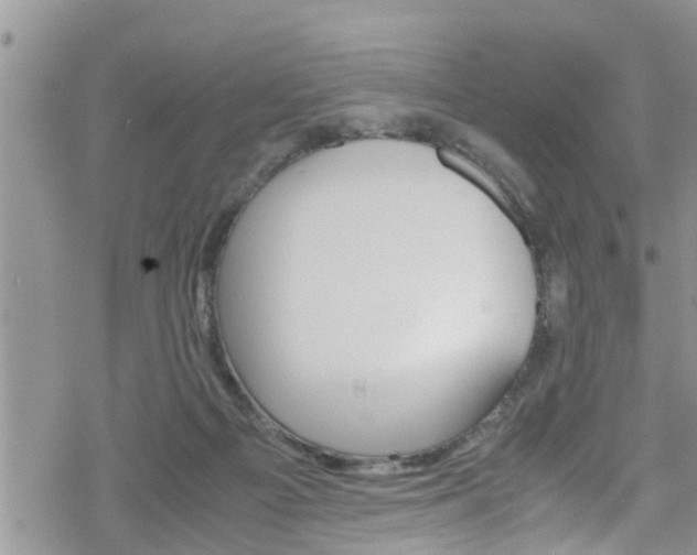 X0000070380121200606090910