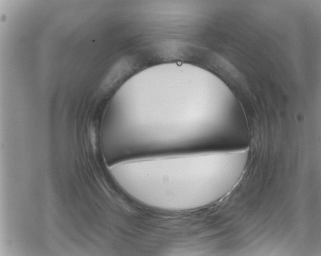 X0000070380124200606090910