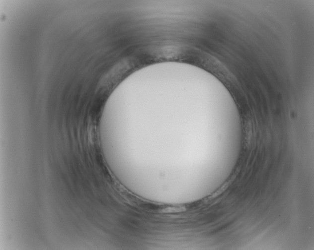 X0000070380126200606090910