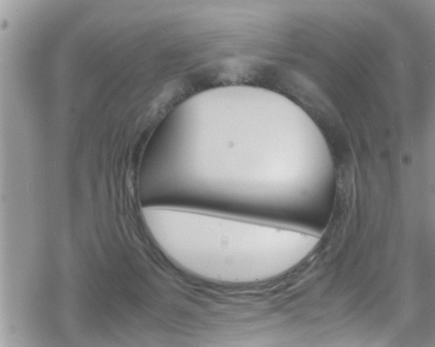 X0000070380127200606090910