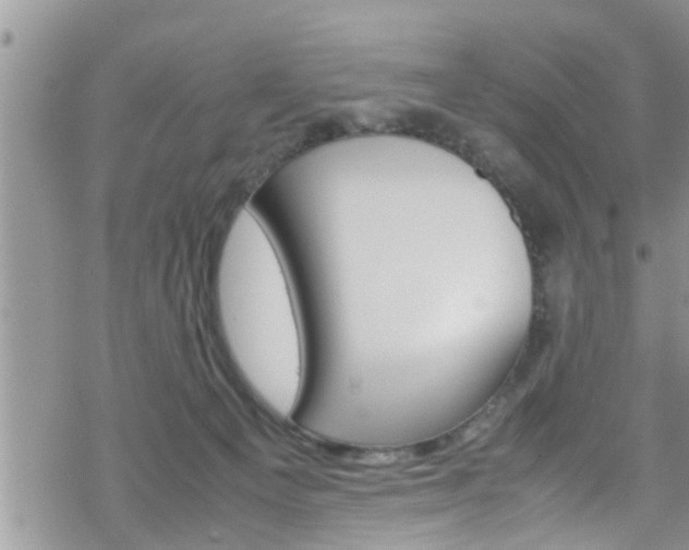 X0000070380129200606090910