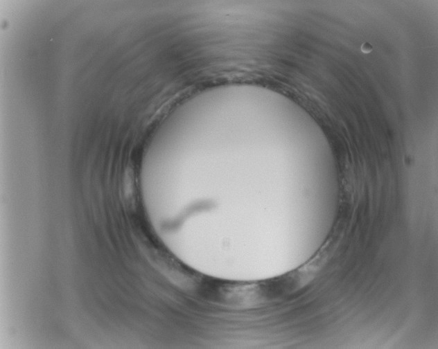 X0000070380132200606090910