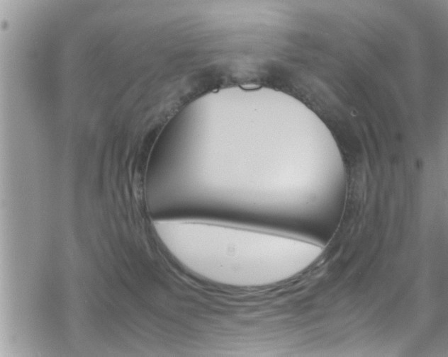 X0000070380135200606090910