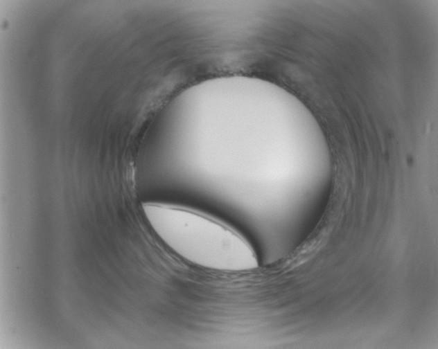 X0000070380624200606090902