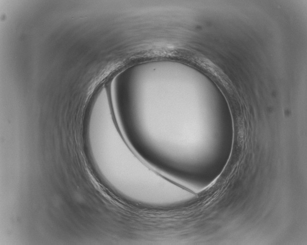 X0000070380677200606090901