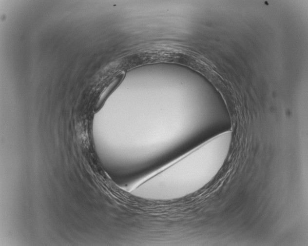 X0000070380771200606090859