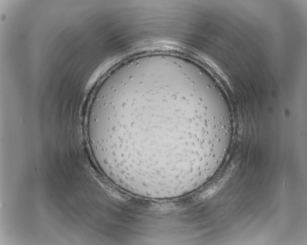X0000070380978200606090856