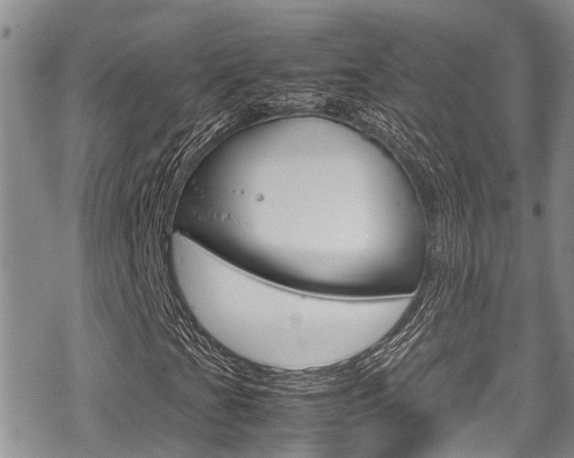 X0000070381201200606090851