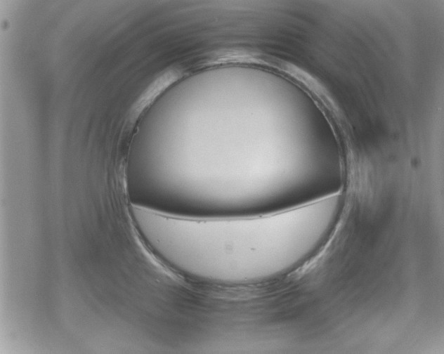 X0000070381241200606090852