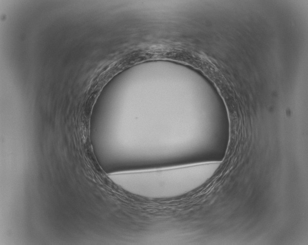X0000070381253200606090851