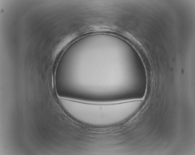 X0000070381269200606090851