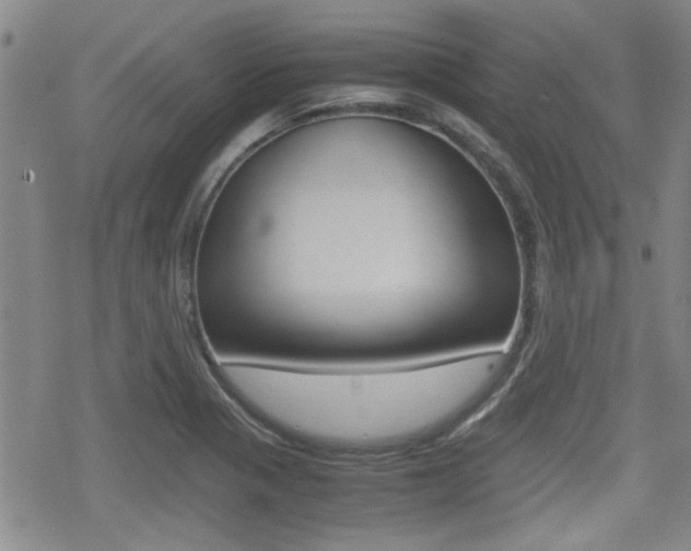 X0000070381321200606090850