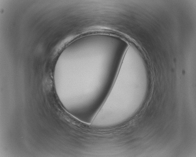 X0000070381363200606090849