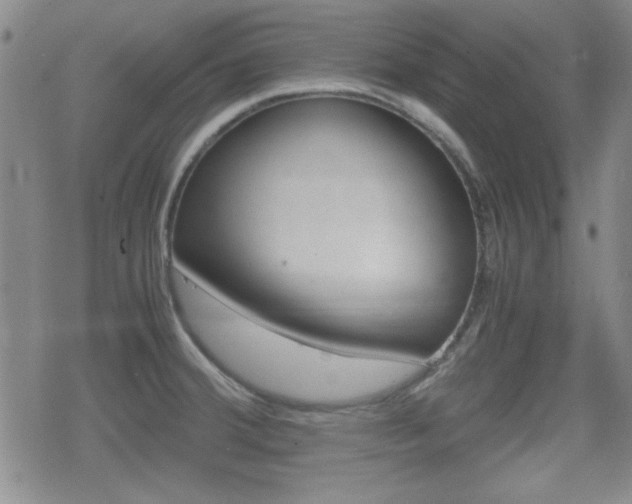 X0000070381380200606090849