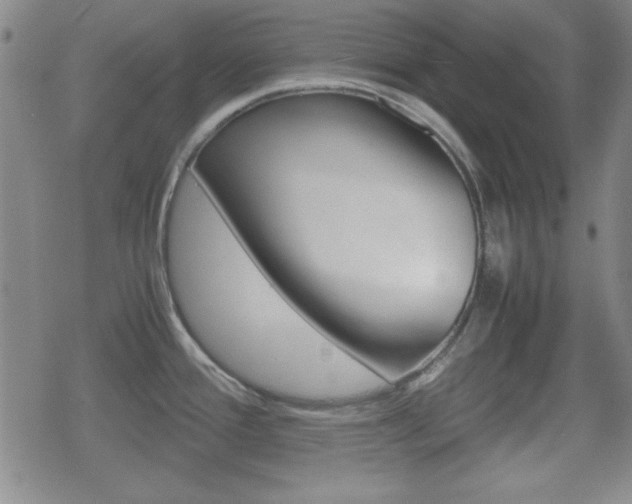 X0000070381388200606090849