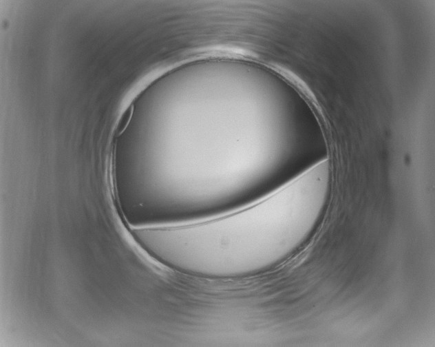 X0000070381391200606090849