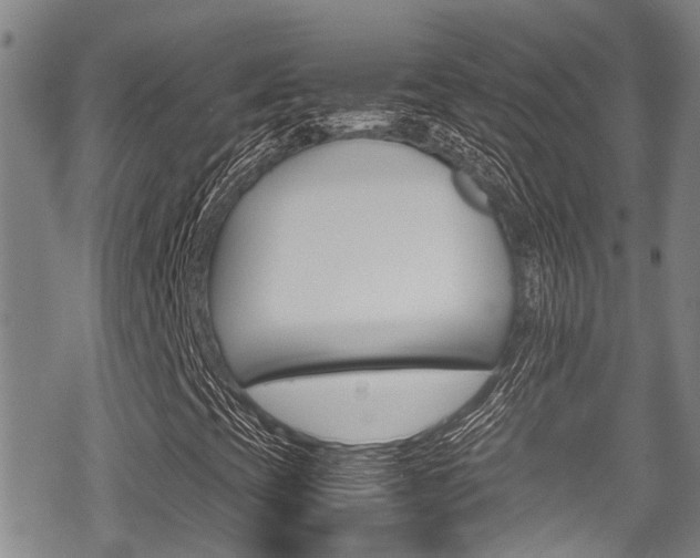 X0000070381393200606090848