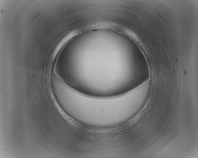 X0000070381426200606090849
