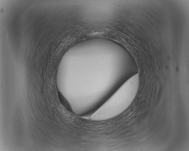 X0000070381441200606090848