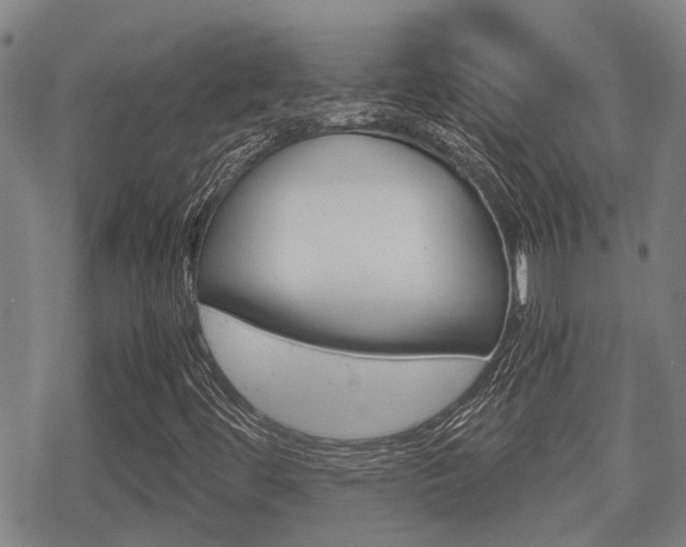 X0000070381444200606090848