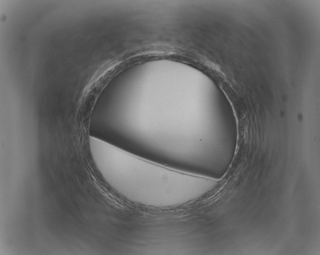 X0000070381448200606090848