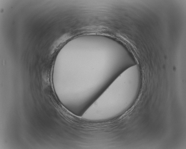 X0000070381451200606090848