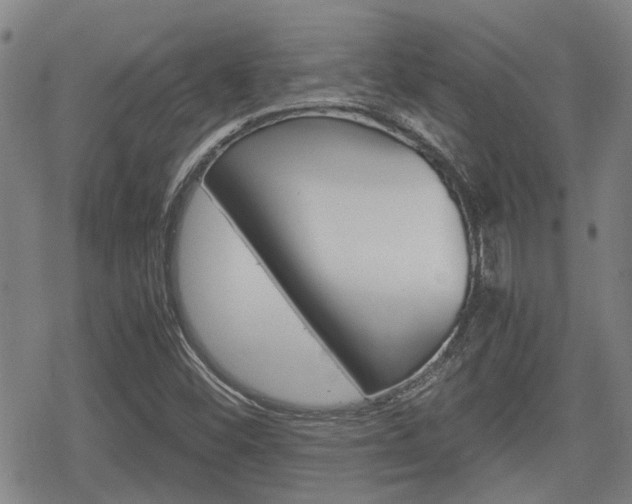 X0000070381452200606090848