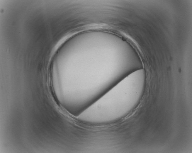 X0000070381467200606090848