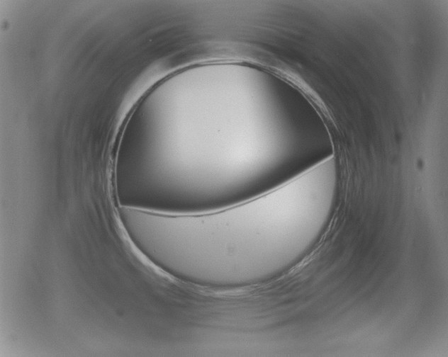 X0000070381484200606090847