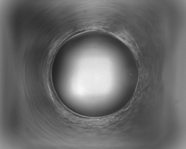 X0000070380001200606091137