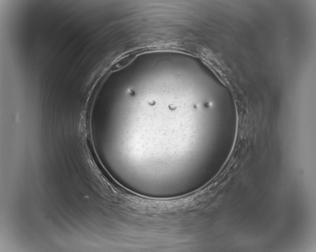 X0000070380002200606091137