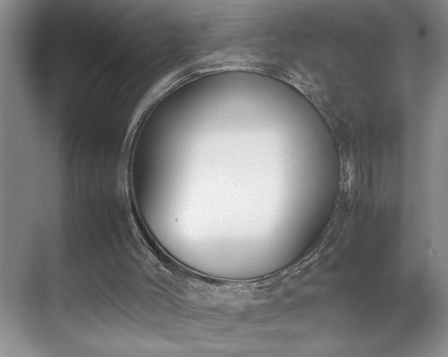 X0000070380004200606091137