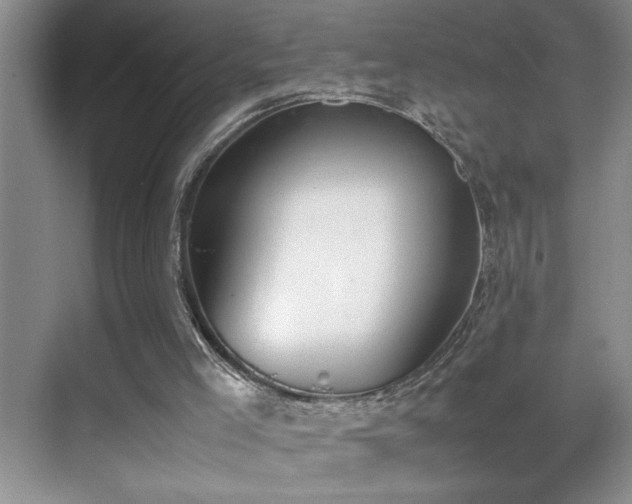 X0000070380005200606091137