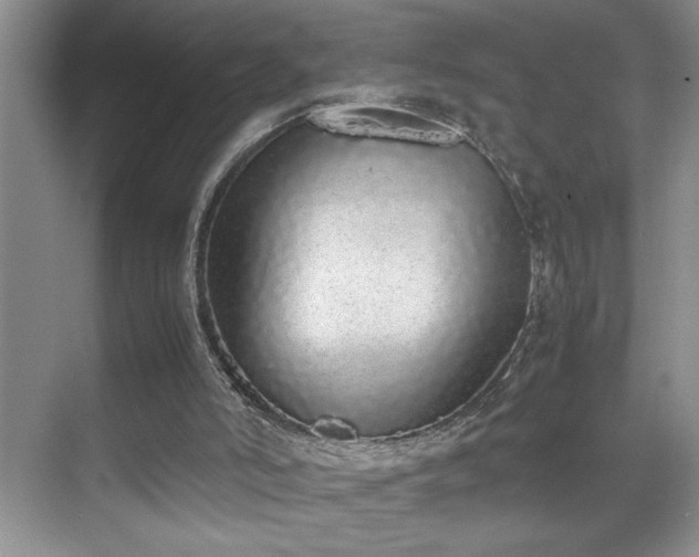 X0000070380006200606091137