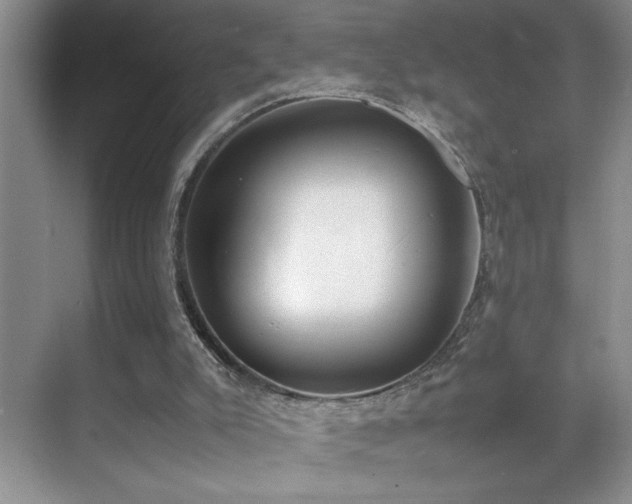 X0000070380007200606091137