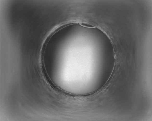 X0000070380008200606091137